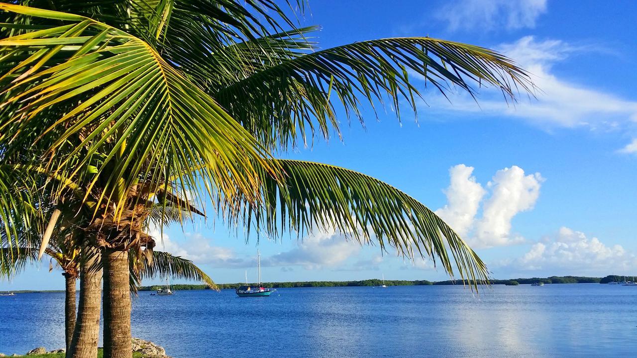 Dolphin Point Villas Key Largo Exterior foto